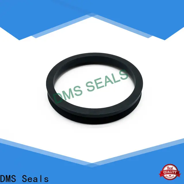 DMS Seals hydraulic pump oil seal to high and low speed 1