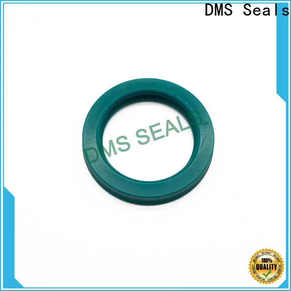 DMS Seals hyd cylinder seal kit for sale for sale 1