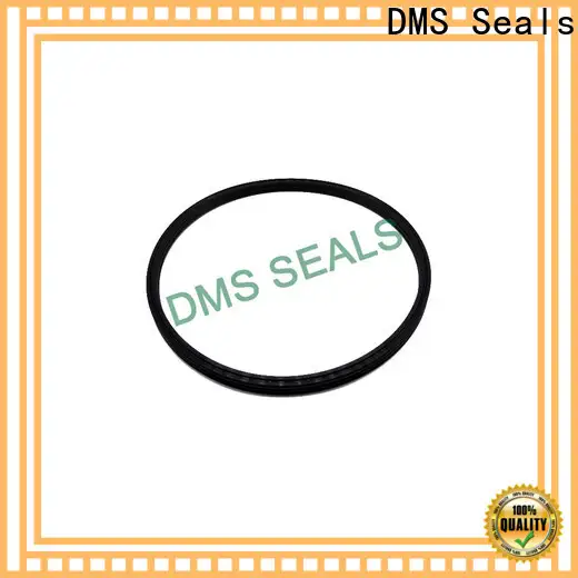 DMS Seals rod seal supplier for larger piston clearance 1