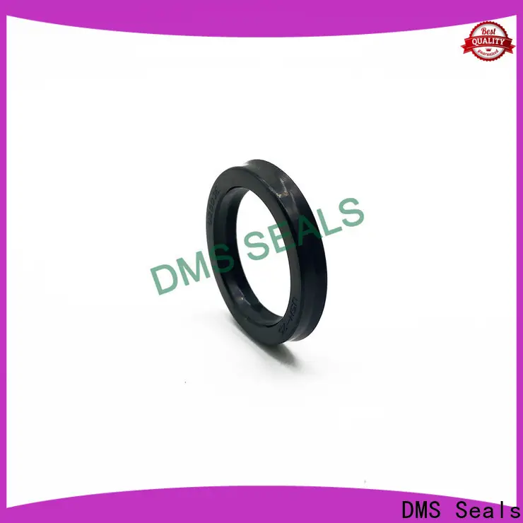 DMS Seals Latest miniature shaft seals supplier for low and high viscosity fluids sealing 1