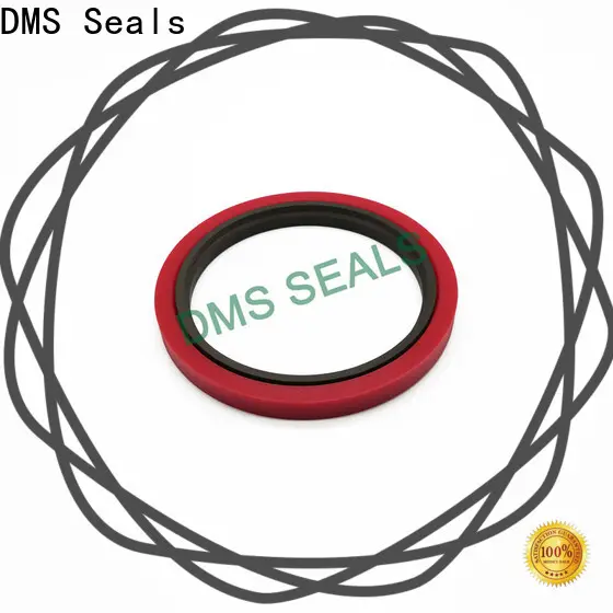 DMS Seals air piston seal manufacturer for pressure work and sliding high speed occasions 1