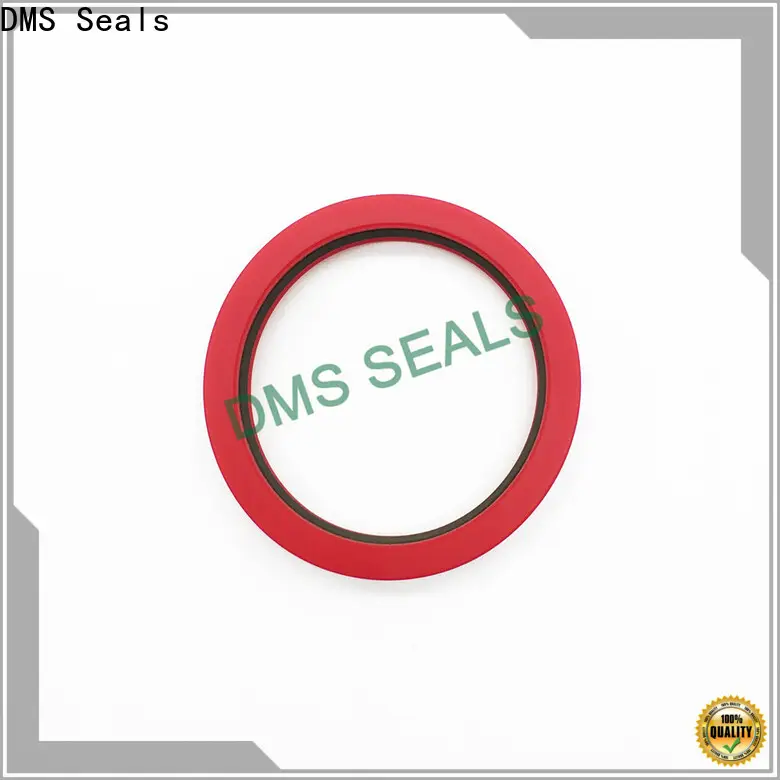 best pneumatic rod seals supplier to high and low speed 1