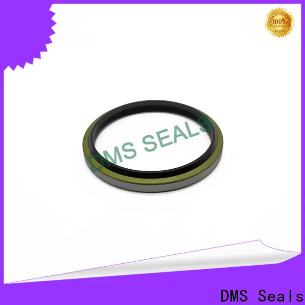 DMS Seals dust seals suppliers vendor for piston and hydraulic cylinder 1