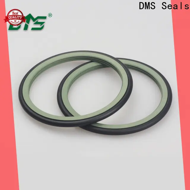 DMS Seals High-quality piston oil seal for construction machinery 1