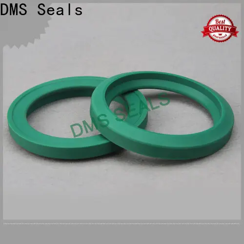 DMS Seals seal ring manufacturers company for larger piston clearance 1