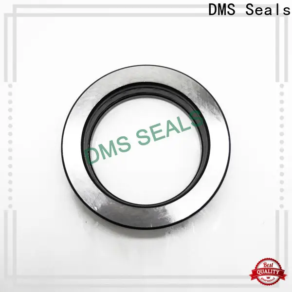 Customized mechanical seals pune for sale for larger piston clearance 1