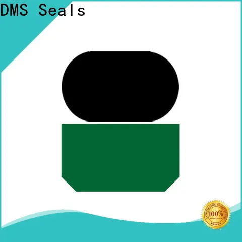 DMS Seals Top hydraulic cylinder gaskets supply for pressure work and sliding high speed occasions 1