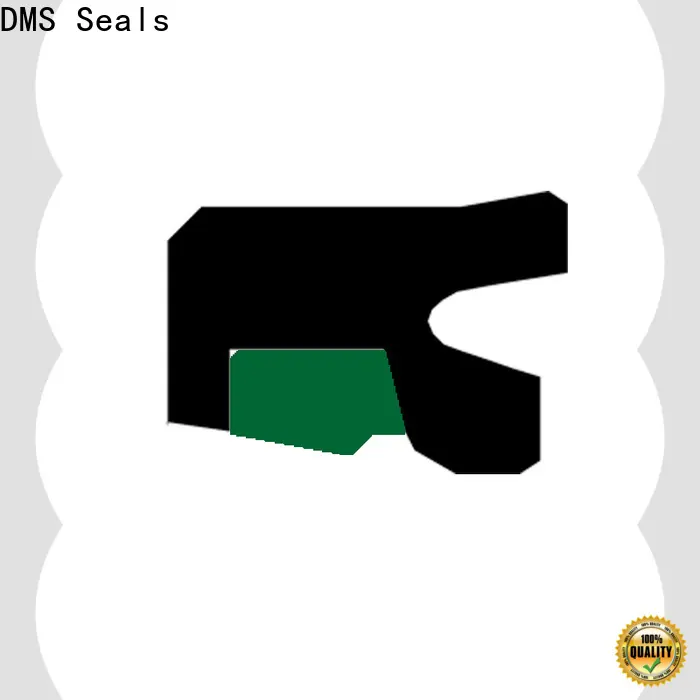 DMS Seals hydraulic valve seals factory for pressure work and sliding high speed occasions 1