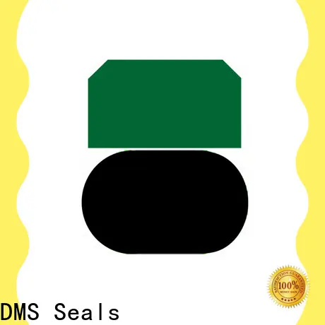 DMS Seals Top hyd cylinder seals factory price for pneumatic equipment 1