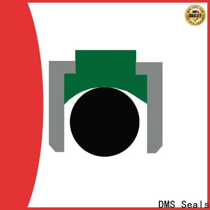 DMS Seals air cylinder piston seals supply for sale 1