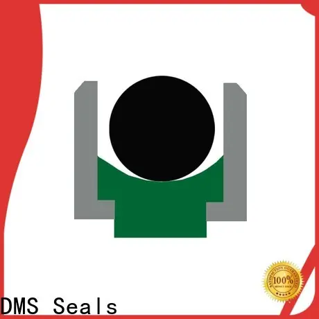 DMS Seals hallite hydraulic seals manufacturer for sale 1