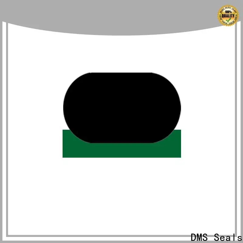 DMS Seals hydraulic rod seals online supplier for pressure work and sliding high speed occasions 1