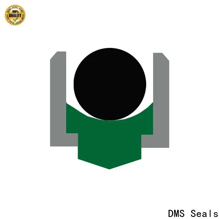 DMS Seals Best rotary seals manufacturer company for automotive equipment 1