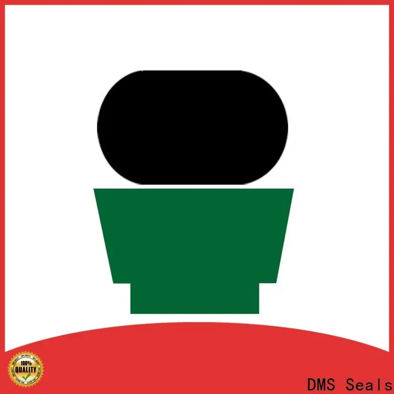 DMS Seals DMS Seals piston seal hydraulic price to high and low speed 1