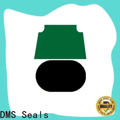 DMS Seals hydraulic cylinder gaskets wholesale for pneumatic equipment 1