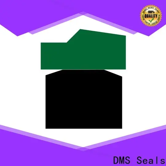 Wholesale piston lip seal wholesale for sale 1