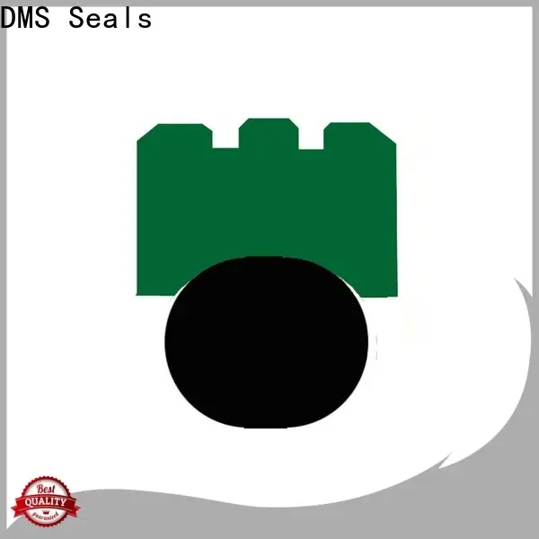 DMS Seals national oil seal lookup price for automotive equipment 1