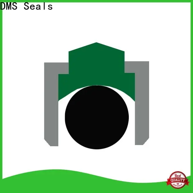 Top industrial oil seals manufacturer for construction machinery 1