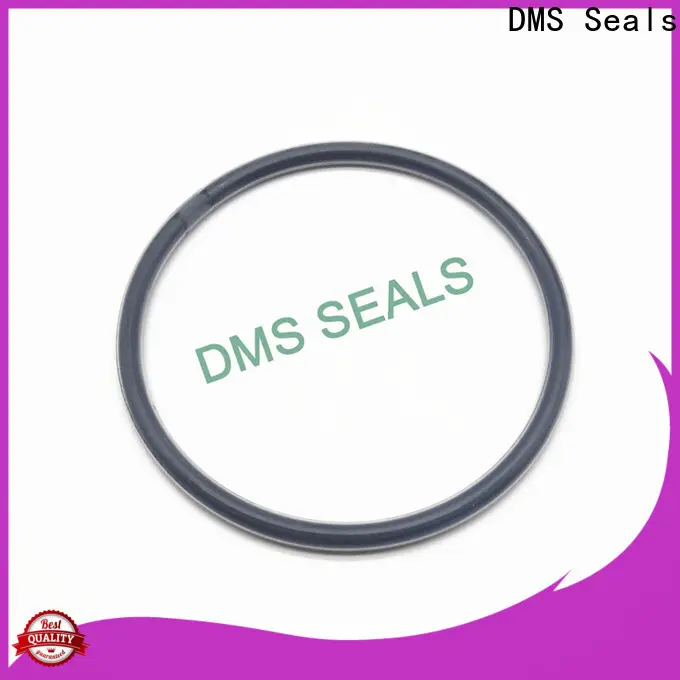 Best o ring cord manufacturer supplier in highly aggressive chemical processing 1