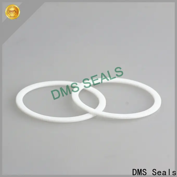 DMS Seals Buy flexible rubber gasket factory price for liquefied gas 1