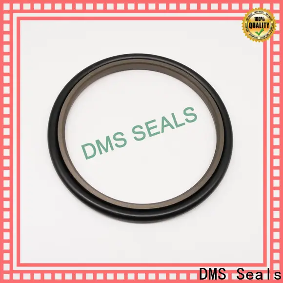 DMS Seals Bulk buy oil seal manufacturers in china price for piston and hydraulic cylinder 1