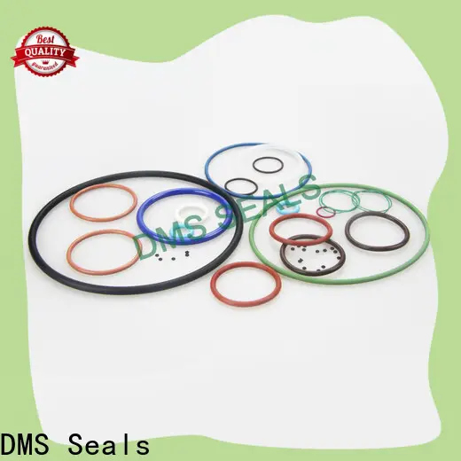 DMS Seals metric wiper seal supplier for sale 1