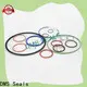 DMS Seals metric wiper seal supplier for sale 1