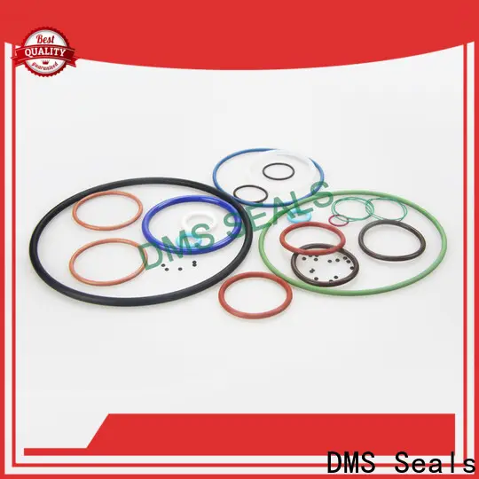 DMS Seals o ring 21 for sale in highly aggressive chemical processing 1