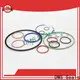 DMS Seals o ring 21 for sale in highly aggressive chemical processing 1