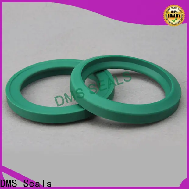 DMS Seals viton oil seal manufacturers factory 1