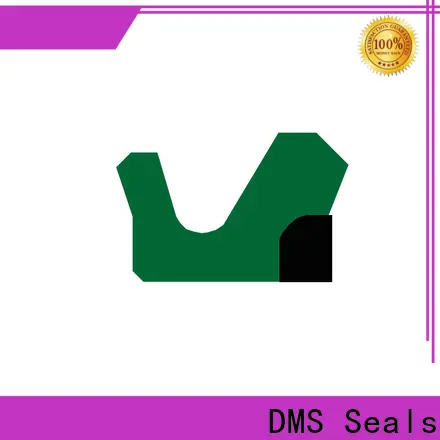 DMS Seals Custom hydraulic cylinder seal compression tool factory price to high and low speed 1