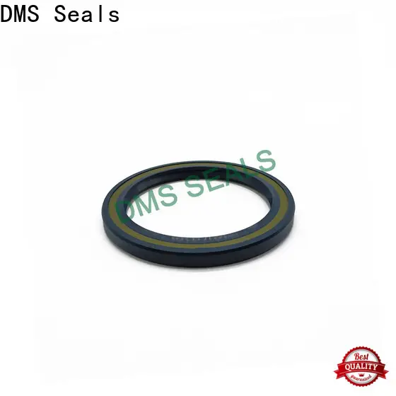 DMS Seals oil seal china cost for low and high viscosity fluids sealing 1