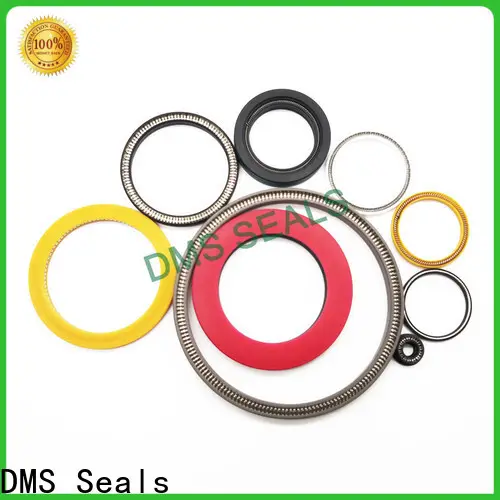 DMS Seals Top spring seals price for aviation 1