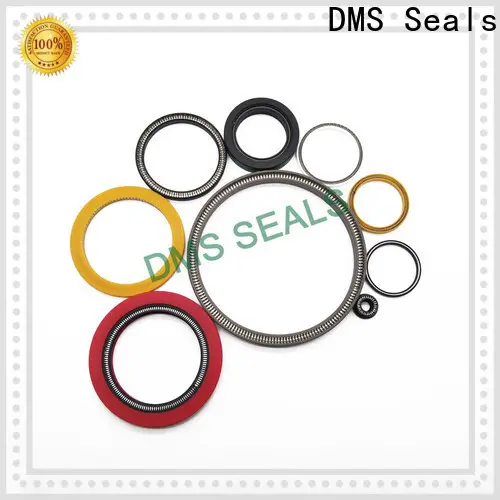 DMS Seals Custom spring loaded seal factory for aviation 1