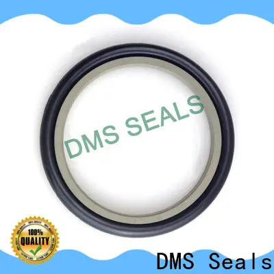 DMS Seals lip seal vs mechanical seal factory price 1