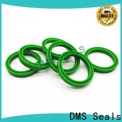 DMS Seals mechanical seal presentation manufacturer for larger piston clearance 1