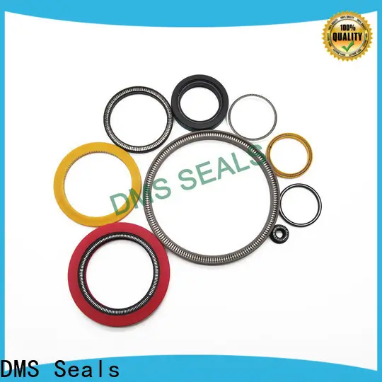 Quality spring energised seal supplier for fracturing 1