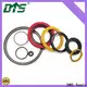 DMS Seals spring energized seals factory for valves 1