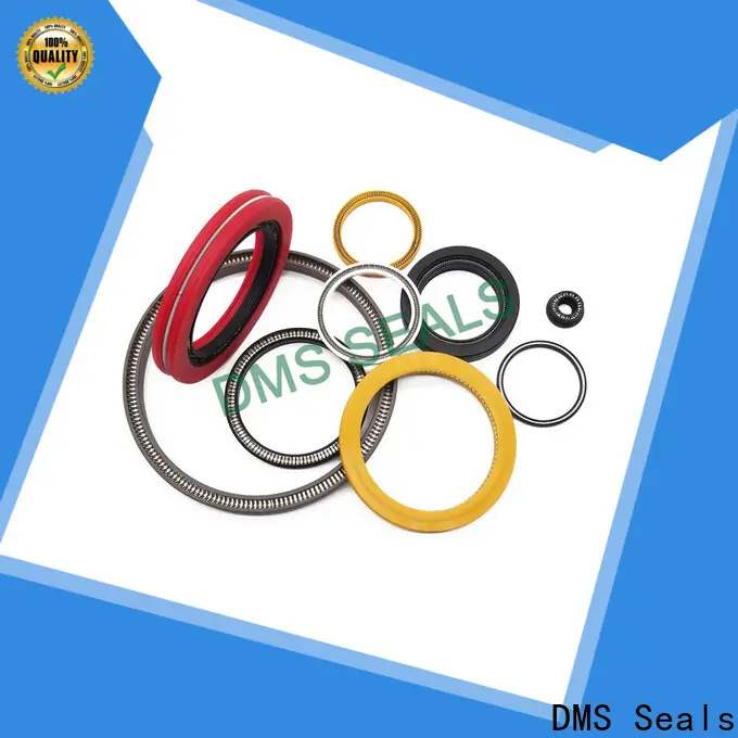 DMS Seals parker spring energized seals price for acidizing 1