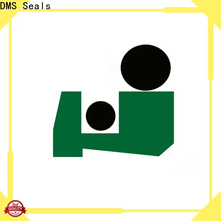DMS Seals Custom hallite wiper seals supply for hydraulic cylinder 1