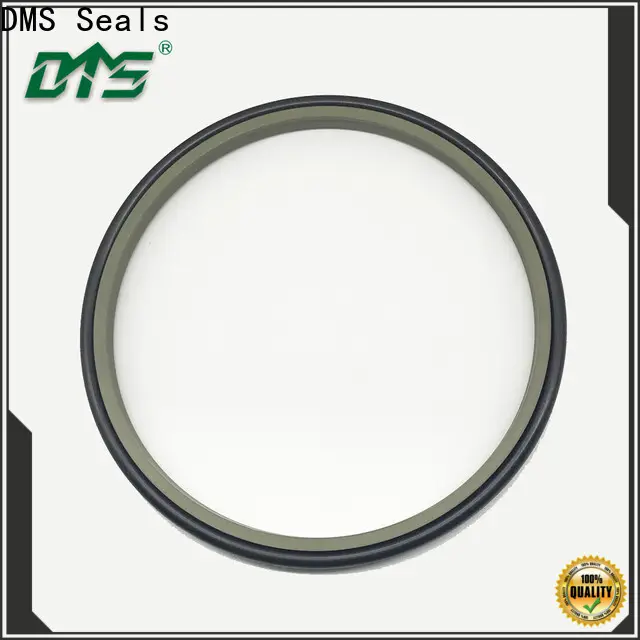DMS Seals Top skf wiper seals for metallurgical equipment 1