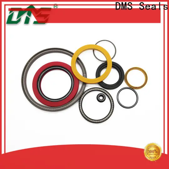 Professional parker spring energized seals factory price for fracturing 1
