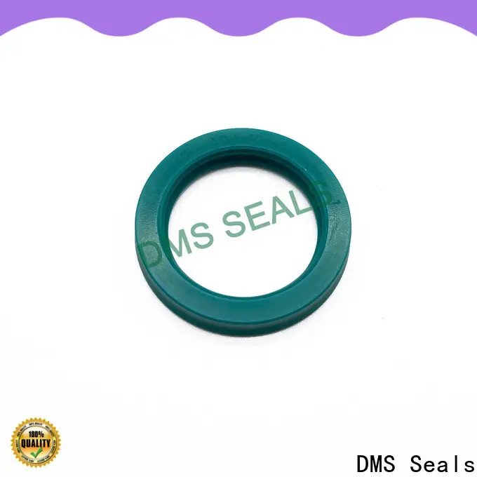 DMS Seals High-quality O Ring Manufacturers for pressure work and sliding high speed occasions 1
