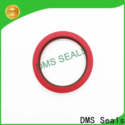 DMS Seals rod seal kit for sale for sale 1