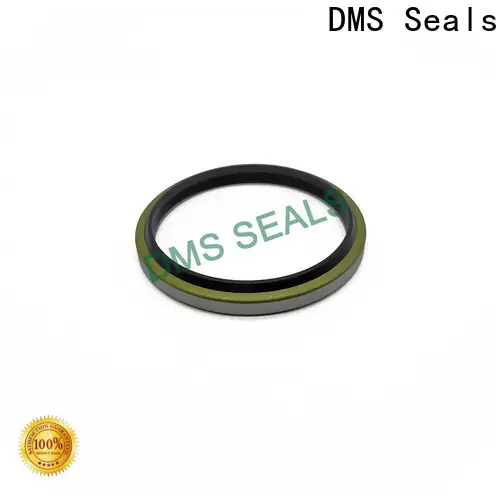 DMS Seals split oil seals suppliers supply for larger piston clearance 1