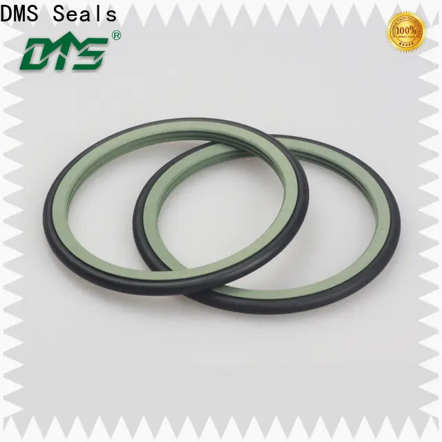 DMS Seals Custom how does a rotary lip seal work cost for construction machinery 1