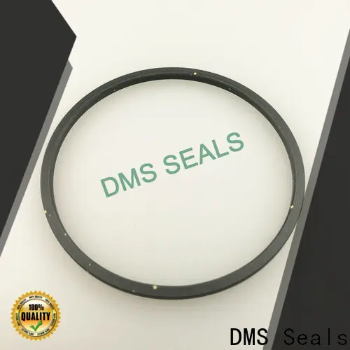 DMS Seals mechanical seal material selection for larger piston clearance 1