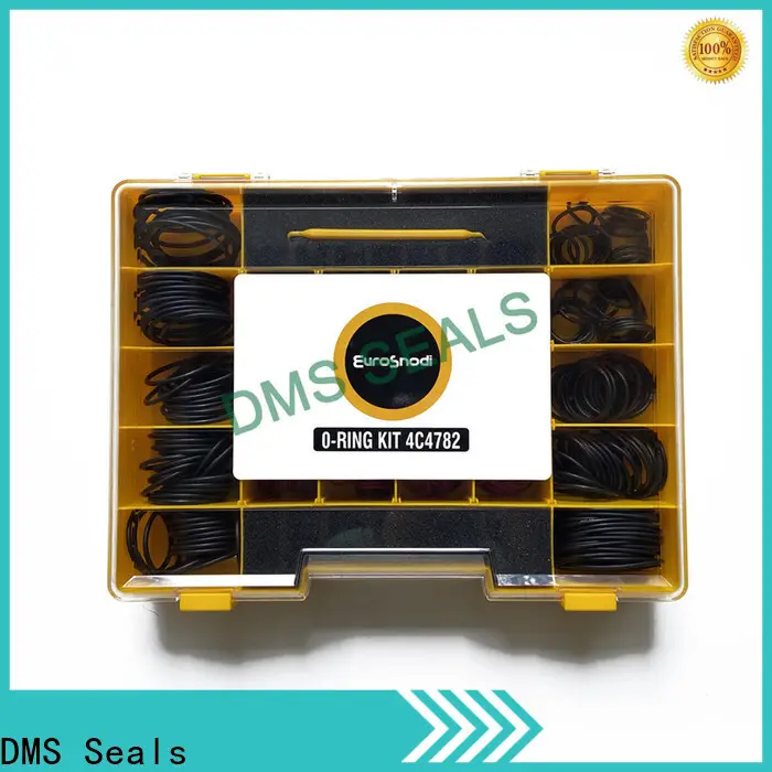 DMS Seals rubber o ring making machine For sealing products 1