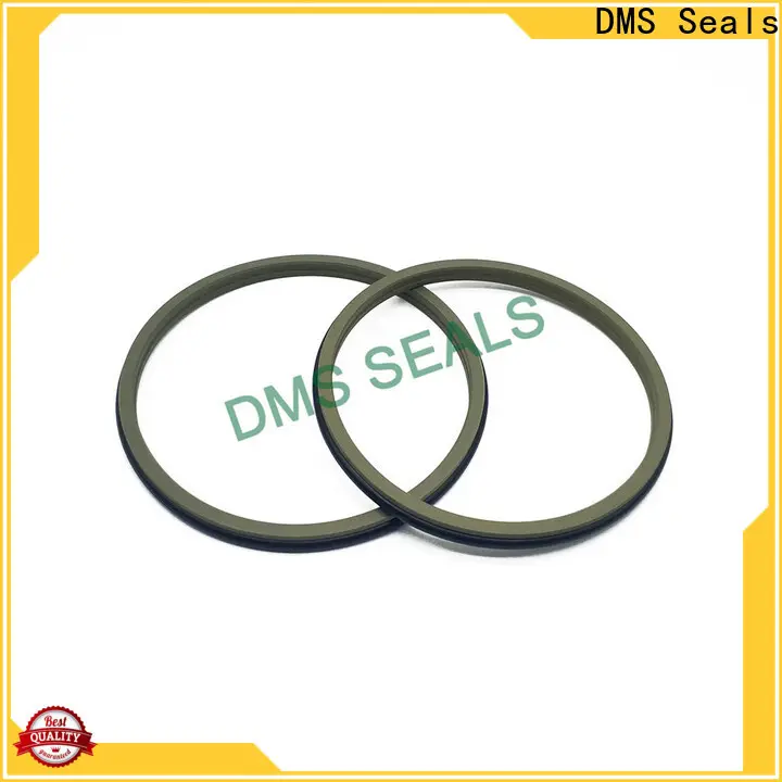 DMS Seals door window belt weather strip wholesale for injection molding machines 1