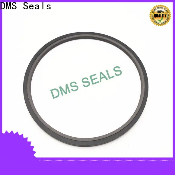 DMS Seals oil seal hydraulic factory price to high and low speed 1